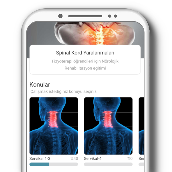 SKYPro uygulama ekranı — Konular ve seviyeler