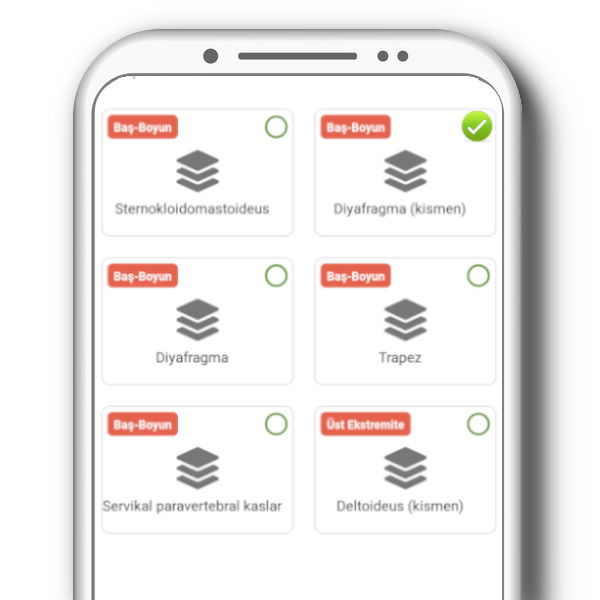SKYPro kas grupları sınavı ekranı